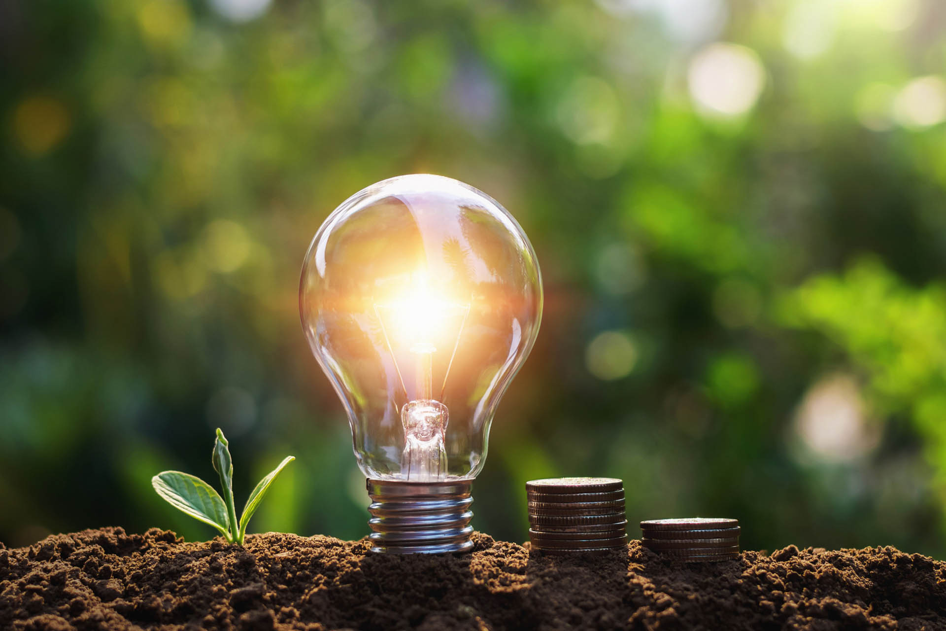 Read more about the article Solar-Powered Innovations